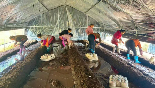 特色產(chǎn)業(yè)