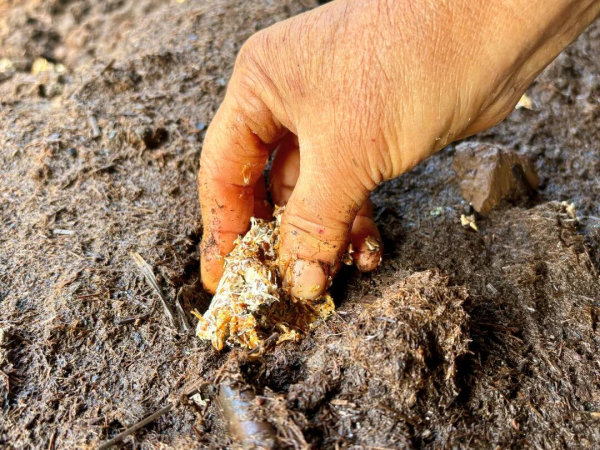 特色產(chǎn)業(yè)3