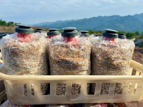 特色產(chǎn)業(yè)2