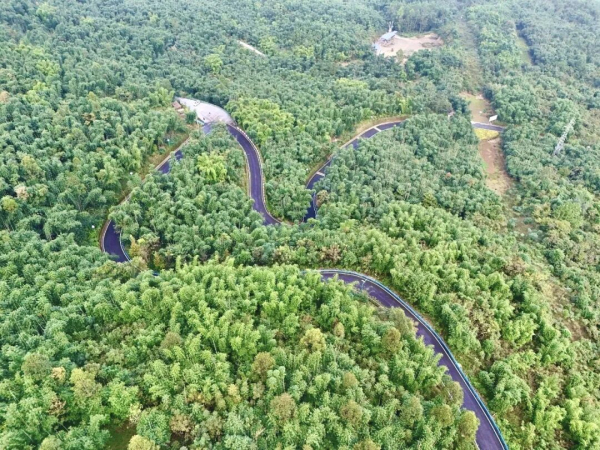 產(chǎn)業(yè)路4