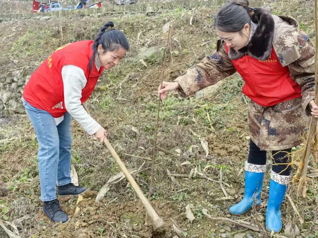 沙灣鎮人大代表